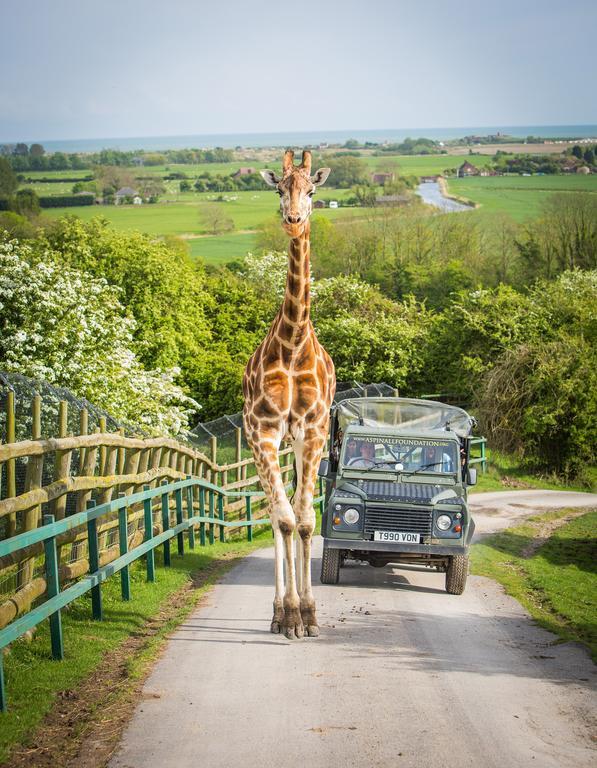 Port Lympne Mansion Hotel Exterior photo